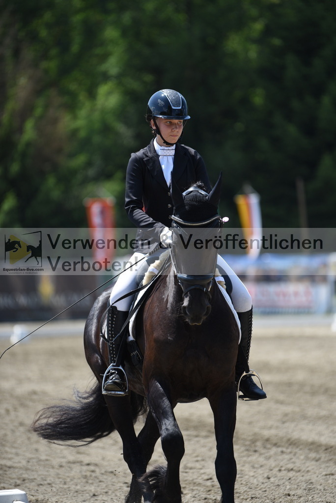 DSC_0538 | equestrian-live-com