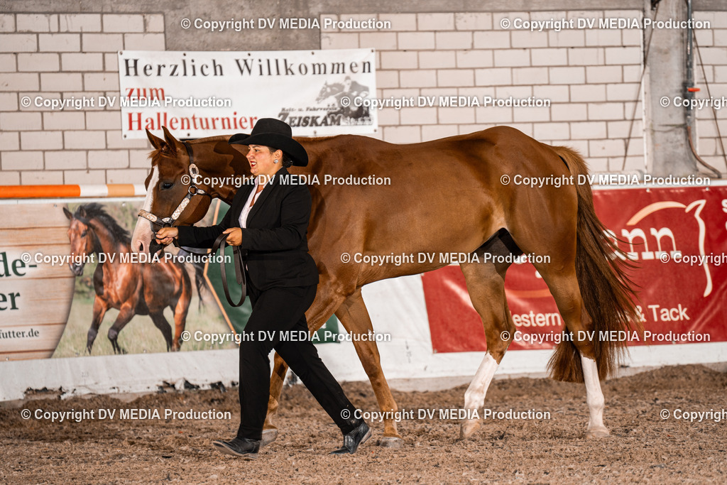 ZH200029 | dv-media-shop - Realisiert mit Pictrs.com