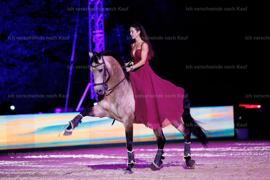 Gala-74 | working equitationturnier fotograf videograf stoibphotography marixx film working equitation deutschland reitsport turnierfotografie eventfotografie equestrian events