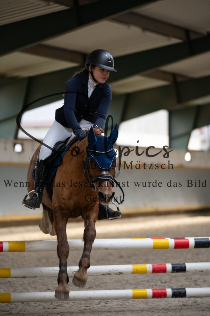 A7V04044 | Pferdefotograf