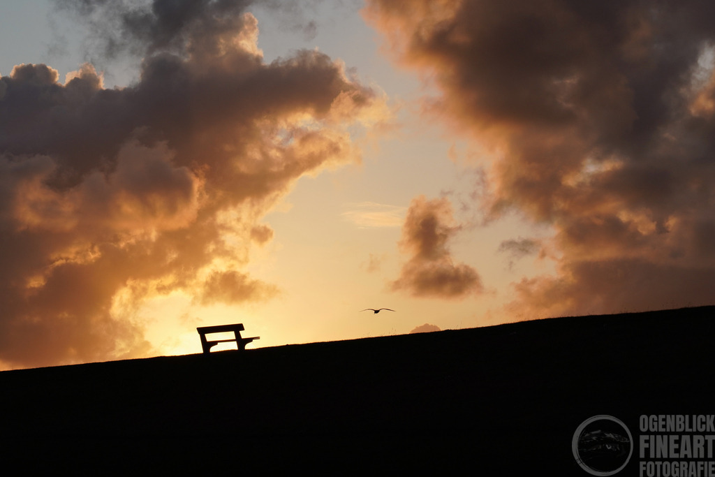 A7R01517 | Björn Thiemann; Ogenblick.de; Fotografie; Photograph; Landscape, Pellworm, Schleswig-Holstein; Inselfotograf; Inselfotografien; Wattenmeer; National-Park; Naturschutzgebiet; Leuchtturm; Lighthouse; Leinwandbilder; Kalender; Pellworm Kalender;  - Realisiert mit Pictrs.com
