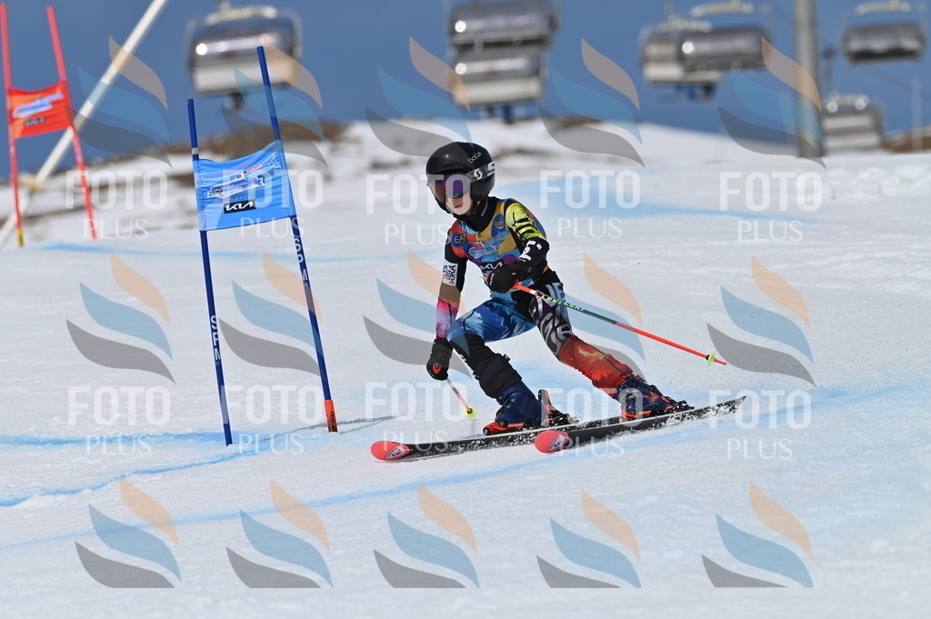 BGV_6585 | holidayphoto