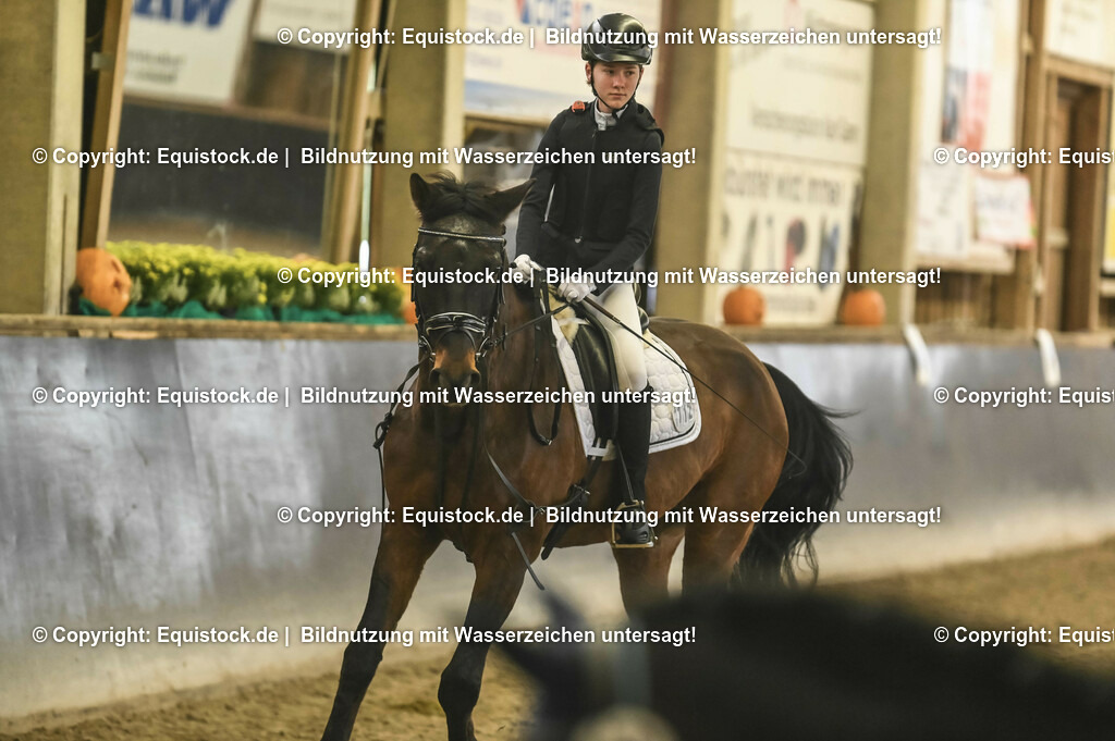 20231029_02_Reiter-WB_Schritt-Trab-Galopp_Abteilung-02_0032 | Foto: Thomas Hartig