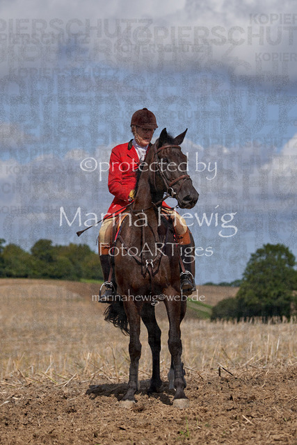 _MCH8085_Marina Hewig | Fotografie, FotoArt, PferdesportArt, Pferdesportfotografie, Landschaftsfotografie, Reisefotografie, Reise, Pferde - Realisiert mit Pictrs.com