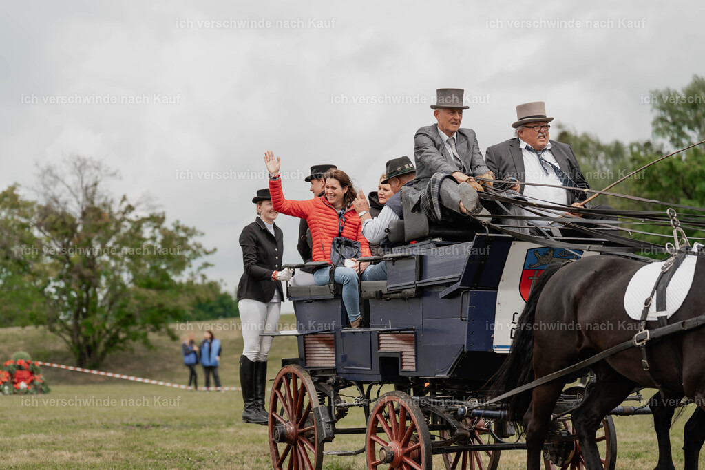 Showprogramm-134 | working equitationturnier fotograf videograf stoibphotography marixx film working equitation deutschland reitsport turnierfotografie eventfotografie equestrian events