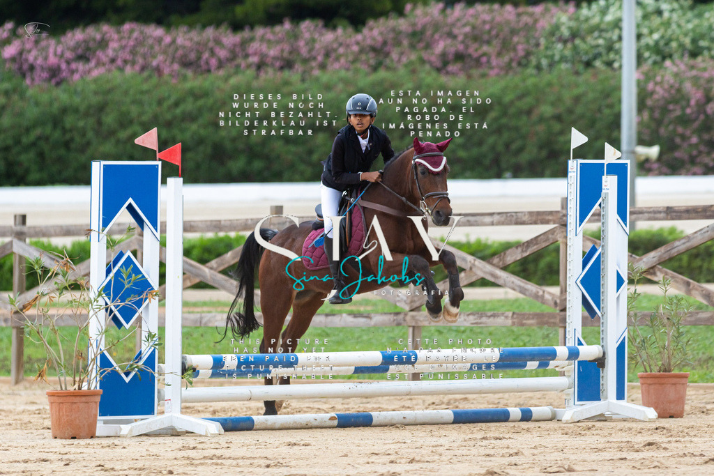 IMG_1351 | s-jay-photography - Realisiert mit Pictrs.com