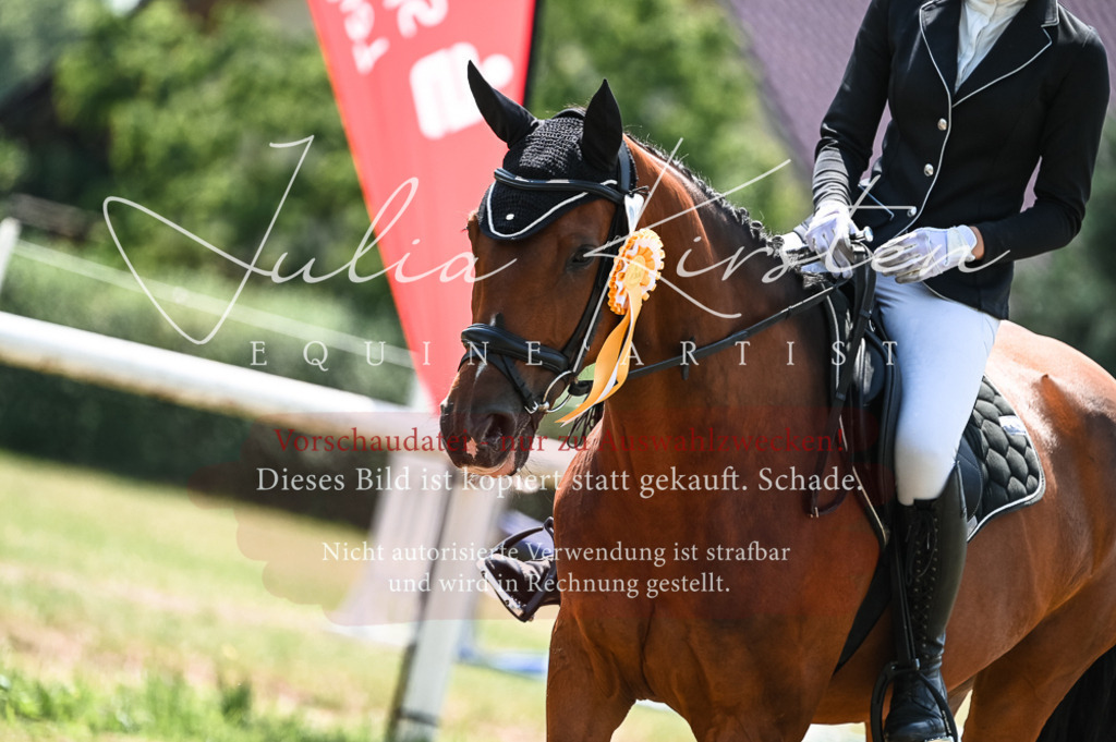 DSC_9533 | Pferde- und Turnierfotografie in Westsachsen. Pferdeportraits, Auftragszeichnungen und intuitive Kunst.