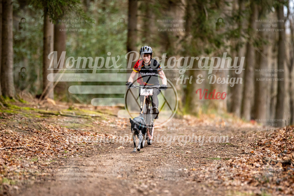 SPA_2023_DIM_Scooter-6 | PayLife