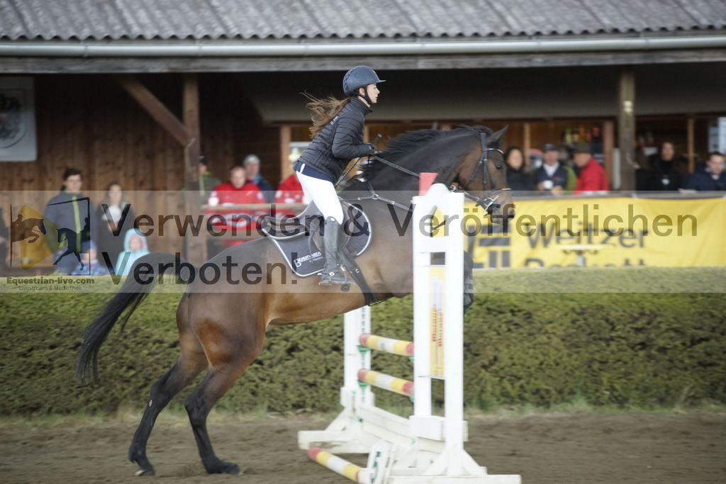 _DSC8491 | equestrian-live-com