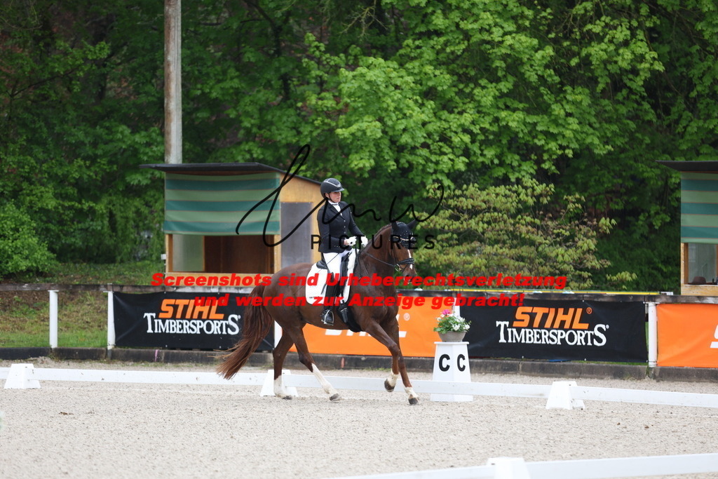 A40A7208 | lmwpictures - Realisiert mit Pictrs.com