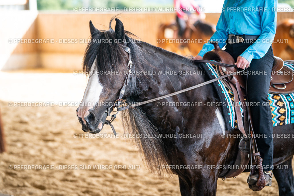 DSC08848 | Pferdegrafie