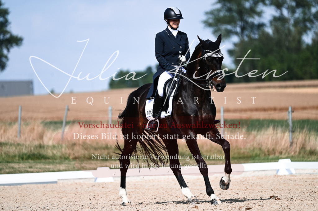 DSC_3313 | Pferde- und Turnierfotografie in Westsachsen. Pferdeportraits, Auftragszeichnungen und intuitive Kunst.