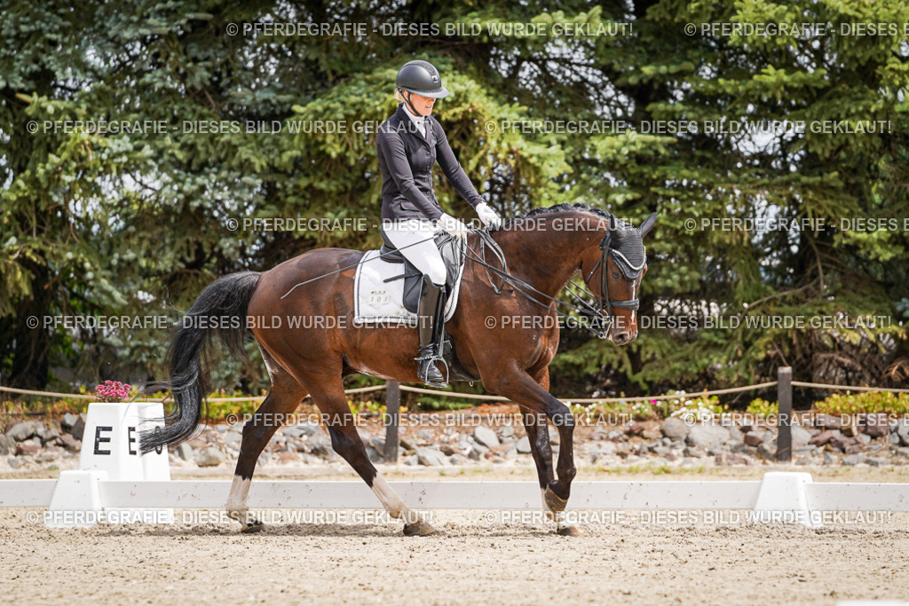 DSC03822 | Pferdegrafie