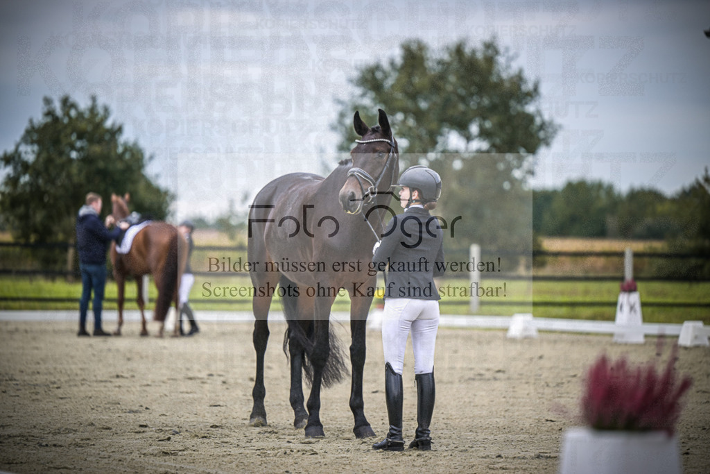 DOS_1185 | Entdecke hochwertige Reitturnierfotos von Foto Oger. Professionell, emotional und authentisch – jetzt Lieblingsmomente im Shop bestellen.Deutschlandweite Turnierfotografie. - Realisiert mit Pictrs.com