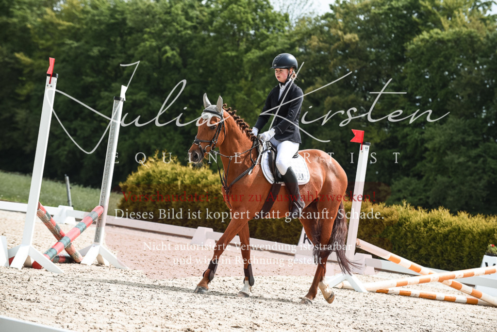 20230518_JK-Röhrsdorf-10-134 | Pferde- und Turnierfotografie in Westsachsen. Pferdeportraits, Auftragszeichnungen und intuitive Kunst.