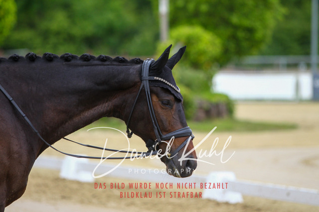 DKP46362 | Turniersportfotografie; Pferdefotografie; Dressurfotografie