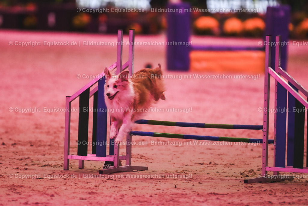20241113_Showabend_TOMsPiC_0448 | Foto: Thomas Hartig