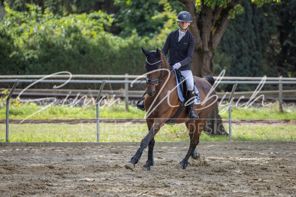 20260905-_3LI7505 | Tierfotografie Pferde, Hunde, Katzen, Haustiere.
Turnierfotografie Reitturniere, Reiten, Springreiten, Dressur in Hanau, dem Main-Kinzig-Kreis und dem Rhein-Main- Gebiet um Frankfurt