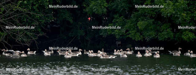 DSC_1040 | Regattafotografie - Realized with Pictrs.com