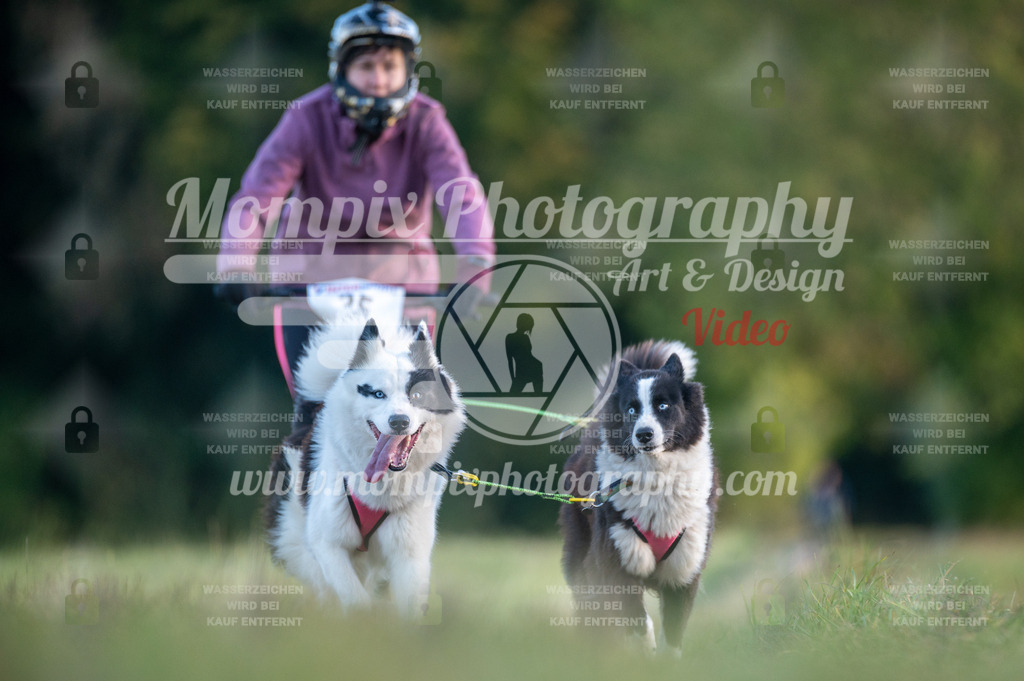 CDLBDB_15_10_2023_Dimanche-76 | mompixphotography