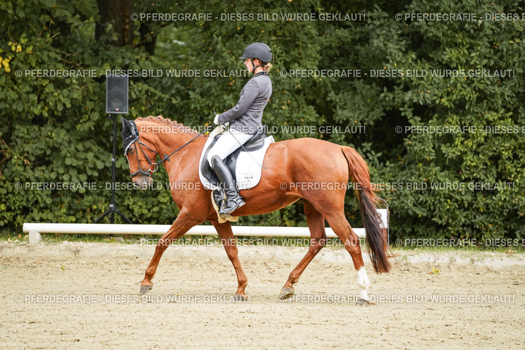 DSC08485 | Pferdegrafie