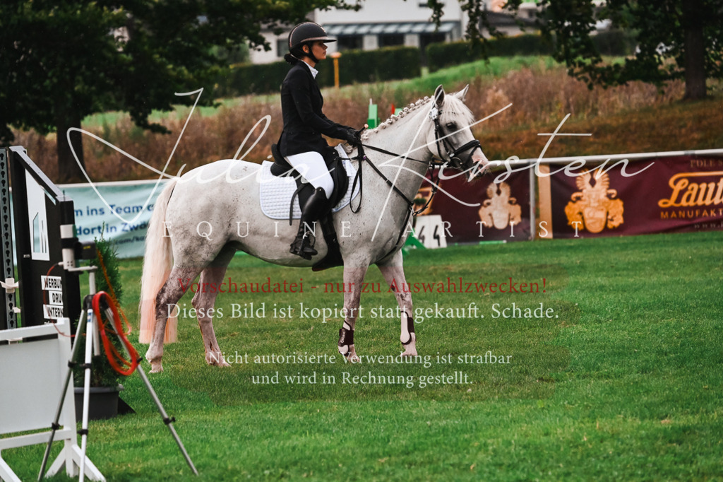 DSC_6176 | Pferde- und Turnierfotografie in Westsachsen. Pferdeportraits, Auftragszeichnungen und intuitive Kunst.