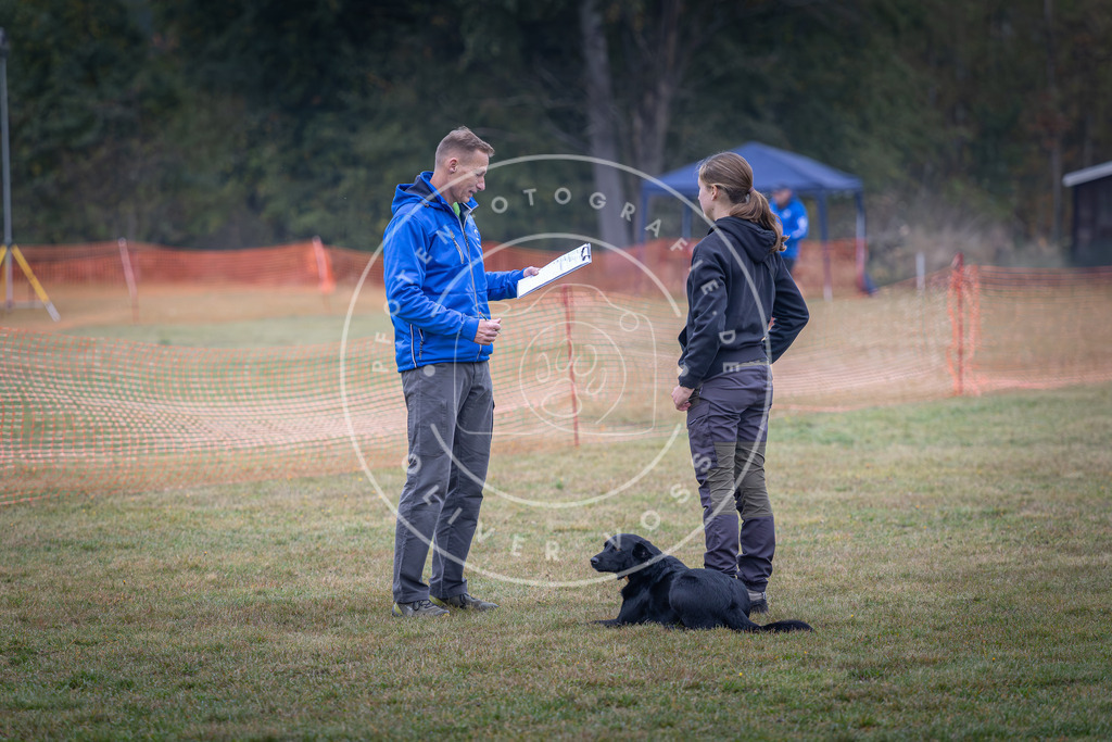 Pfotenfotografie_DV3A8711 | Hundefotografie, Tierfotograf, Pfotenfotografie, Fotoshooting Hund, Hunde Portrait, Hundesport, Hundeportraits, Heideshooting, Hunde, Sportfotograf, Hundefotograf, Turnierhundsport, THS,  - Realisiert mit Pictrs.com