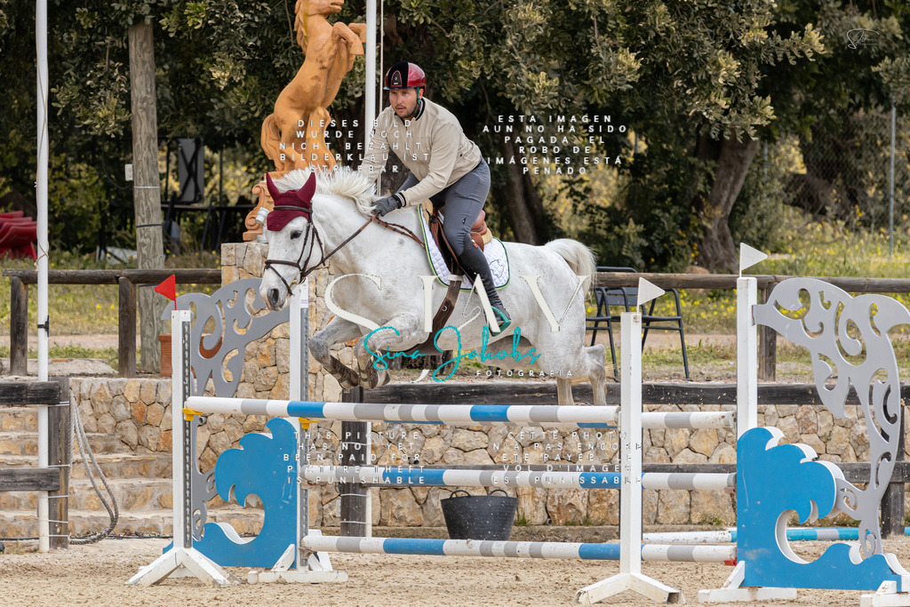 IMG_4998 | s-jay-photography - Realisiert mit Pictrs.com