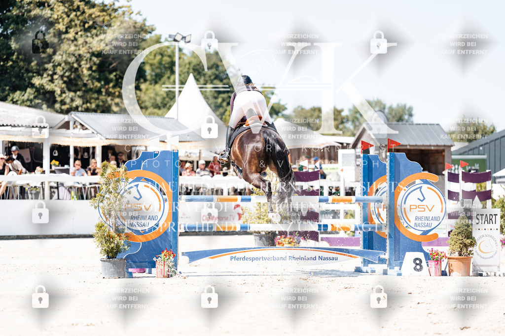 CK909436 | Turnierfotografie Pferdefotografie Trier Rheinland-Pfalz Pferdesport Reitsport Tierfotografie Sportfotografie Pferdevideo Pferdevideografie Equestrianvideography equestrianphotography  - Realisiert mit Pictrs.com