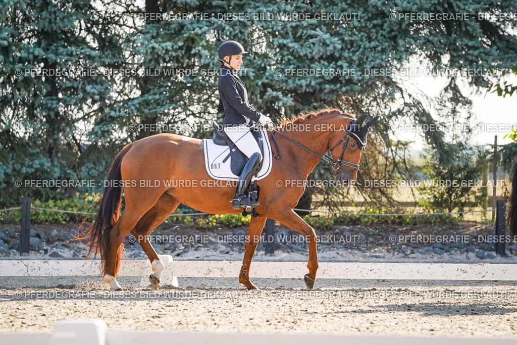 DSC09036 | Pferdegrafie