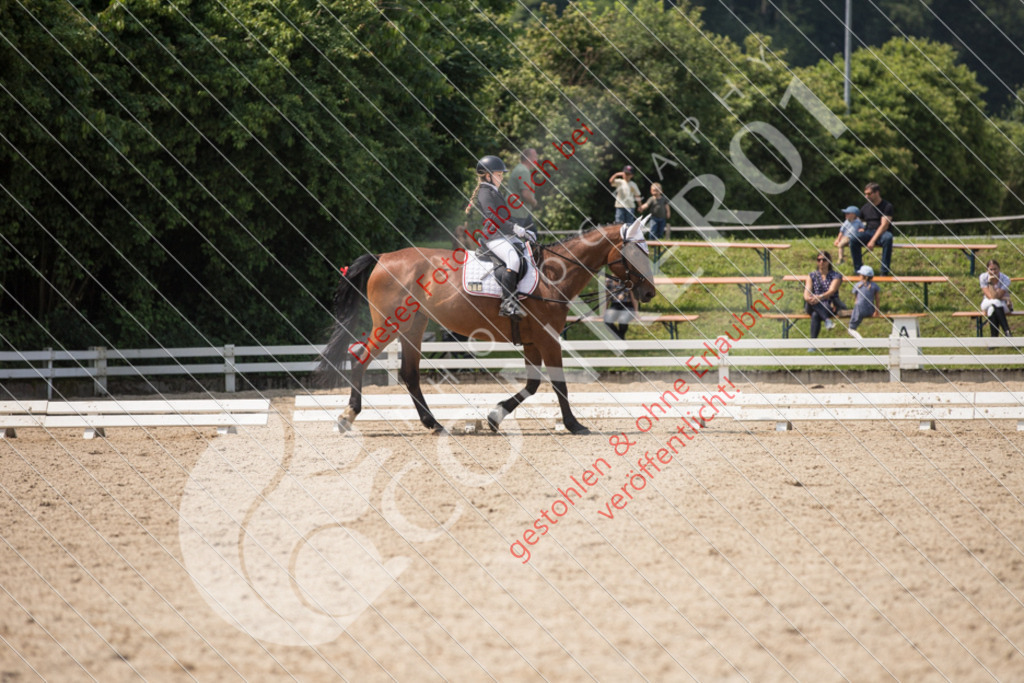 IMG_3470 | Sport-, Event- und Tierfotos in Profiqualität. Einfach auswählen, bestellen und herunterladen. Dein Moment – perfekt festgehalten.