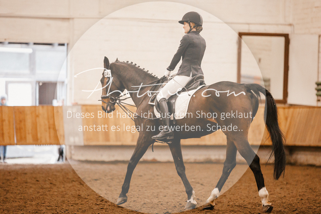 3I6A6354 | Stimmungsvolle Portraits und Reitsportfotografie im Ruhrgebiet und im Münsterland.

Pferdefotografie, Hundefotografie, Tierfotografie, Reportagen, Portraits von Tier und Mensch, Turnierfotografie in Bochum, Recklinghausen, Marl, Haltern am See, Dülmen.. - Realisiert mit Pictrs.com