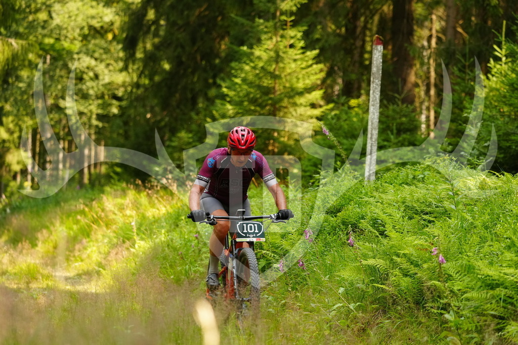 FC103397 | Fotogalerie der Treibjagd im Dunkelwald - Dein MTB Etappenrennen im Erzgebirge - Realisiert mit Pictrs.com