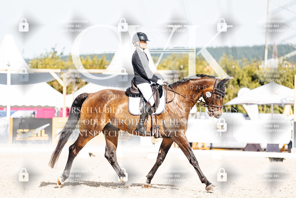 CK905484 | Turnierfotografie Pferdefotografie Trier Rheinland-Pfalz Pferdesport Reitsport Tierfotografie Sportfotografie Pferdevideo Pferdevideografie Equestrianvideography equestrianphotography  - Realisiert mit Pictrs.com