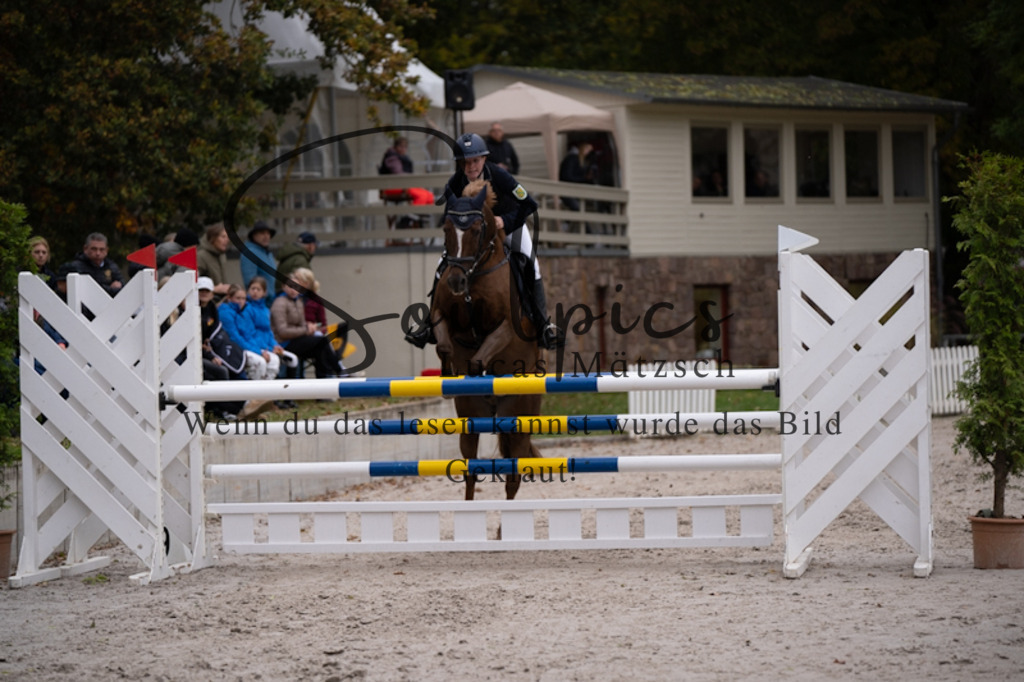 A7V09176 | Pferdefotograf