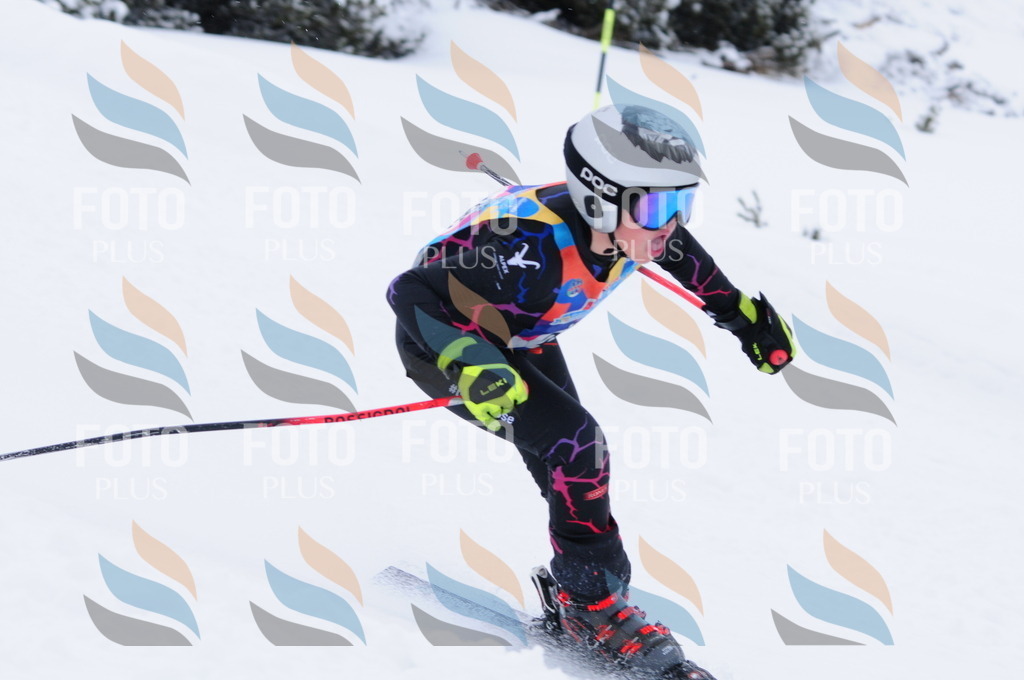 C2979 | holidayphoto