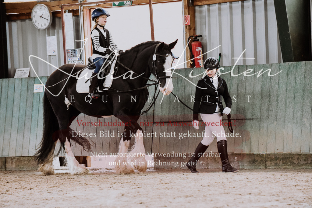 DSC_6855 | Pferde- und Turnierfotografie in Westsachsen. Pferdeportraits, Auftragszeichnungen und intuitive Kunst.