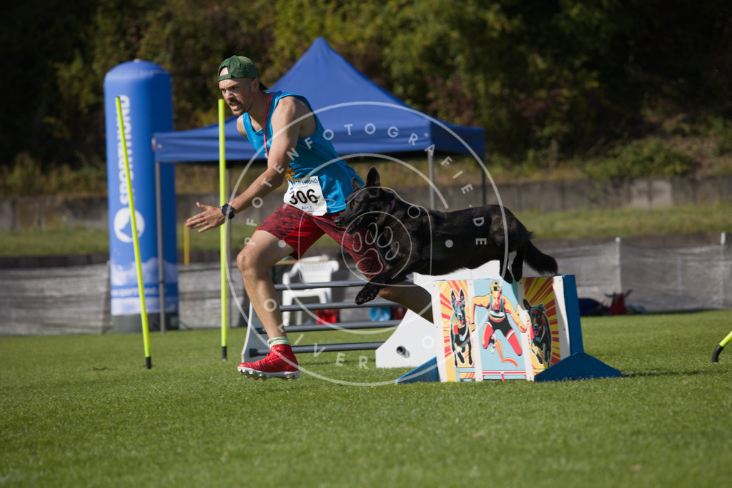 0L8A8525 | Hundefotografie, Tierfotograf, Pfotenfotografie, Fotoshooting Hund, Hunde Portrait, Hundesport, Hundeportraits, Heideshooting, Hunde, Sportfotograf, Hundefotograf, Turnierhundsport, THS,  - Realisiert mit Pictrs.com