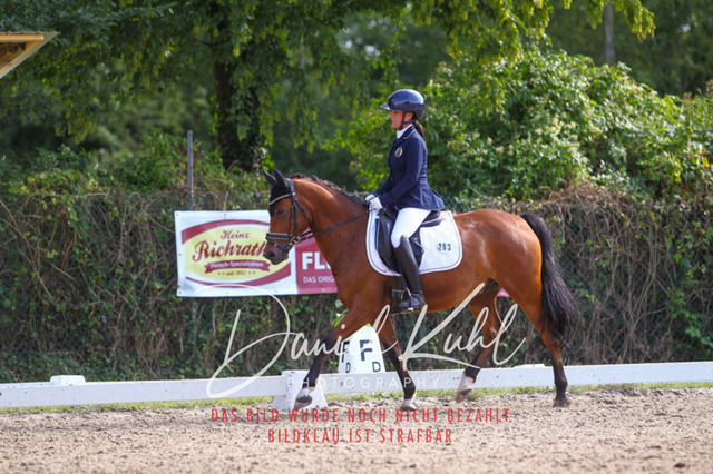 DKP43017 | Turniersportfotografie; Pferdefotografie; Dressurfotografie