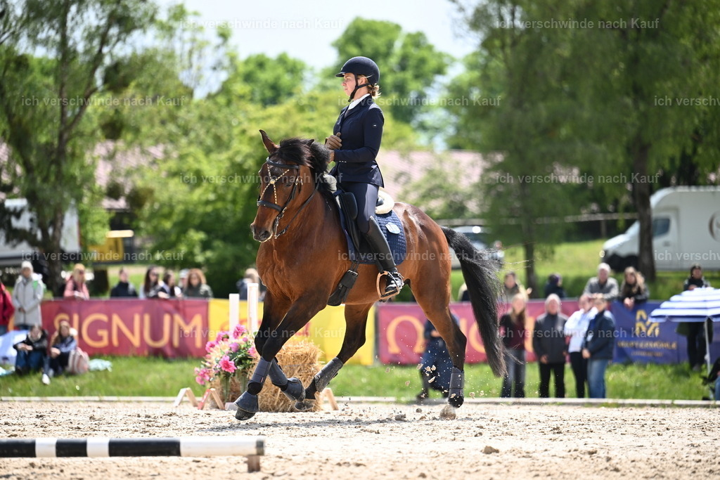 PI26_SP_Sara_Landvogt_226_5742.JPG | working equitationturnier fotograf videograf stoibphotography marixx film working equitation deutschland reitsport turnierfotografie eventfotografie equestrian events