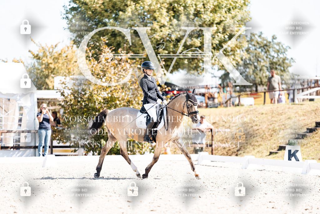 CK903870 | Turnierfotografie Pferdefotografie Trier Rheinland-Pfalz Pferdesport Reitsport Tierfotografie Sportfotografie Pferdevideo Pferdevideografie Equestrianvideography equestrianphotography  - Realisiert mit Pictrs.com