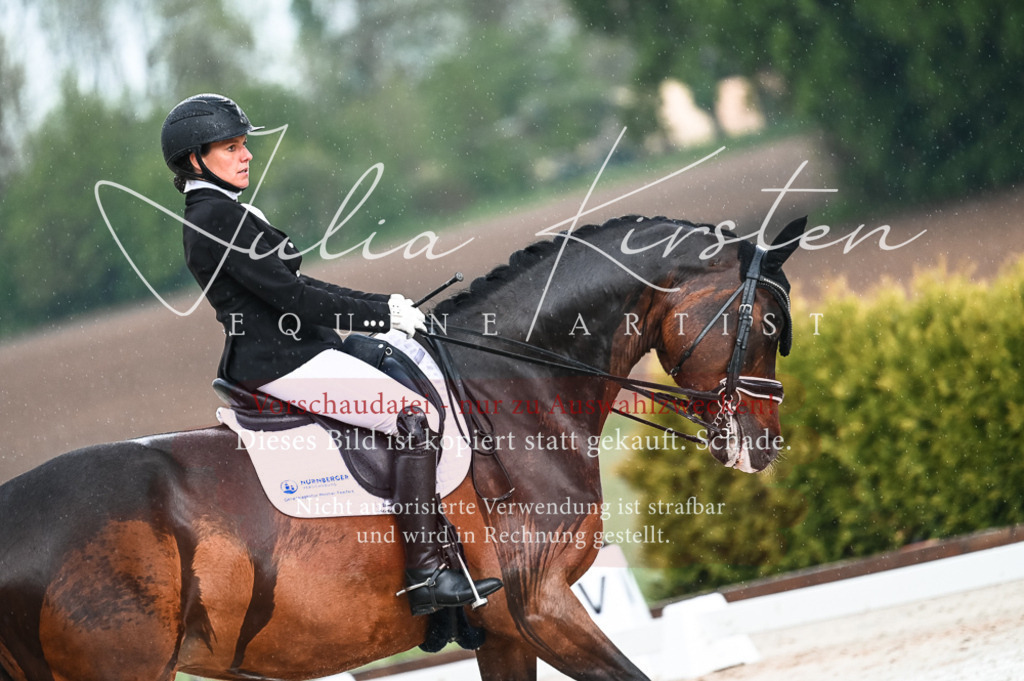 DSC_4186 | Pferde- und Turnierfotografie in Westsachsen. Pferdeportraits, Auftragszeichnungen und intuitive Kunst.
