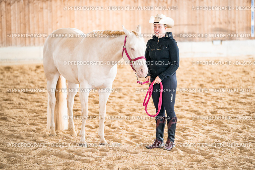 DSC01137 | Pferdegrafie