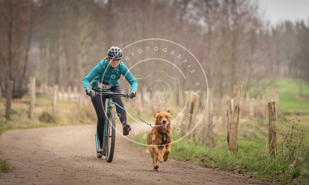 Pfotenfotografie_DV3A3252 | Hundefotografie, Tierfotograf, Pfotenfotografie, Fotoshooting Hund, Hunde Portrait, Hundesport, Hundeportraits, Heideshooting, Hunde, Sportfotograf, Hundefotograf, Turnierhundsport, THS,  - Realisiert mit Pictrs.com