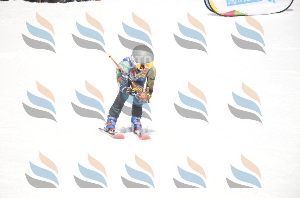 _ELE9006 | holidayphoto