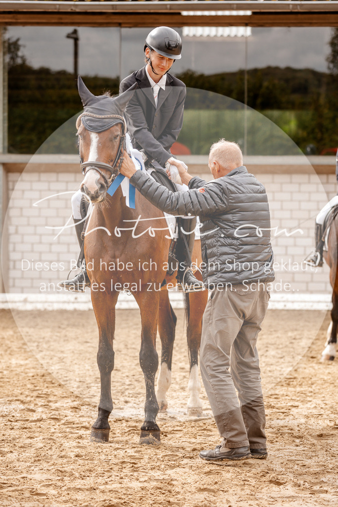 3I6A7587 | Stimmungsvolle Portraits und Reitsportfotografie im Ruhrgebiet und im Münsterland.

Pferdefotografie, Hundefotografie, Tierfotografie, Reportagen, Portraits von Tier und Mensch, Turnierfotografie in Bochum, Recklinghausen, Marl, Haltern am See, Dülmen.. - Realisiert mit Pictrs.com
