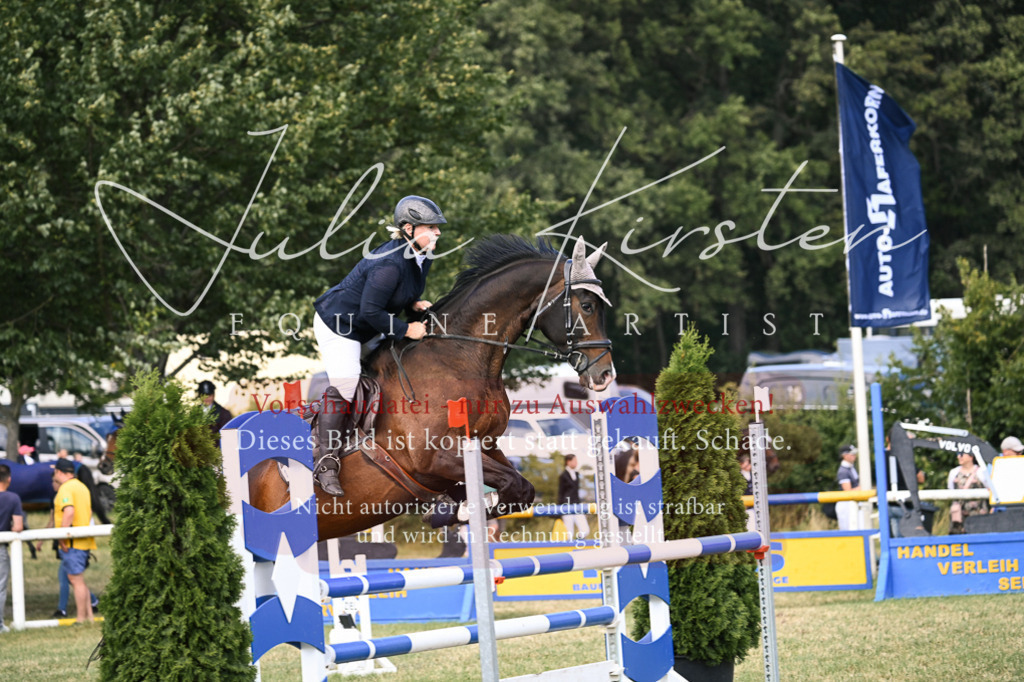 DSC_0560 | Pferde- und Turnierfotografie in Westsachsen. Pferdeportraits, Auftragszeichnungen und intuitive Kunst.