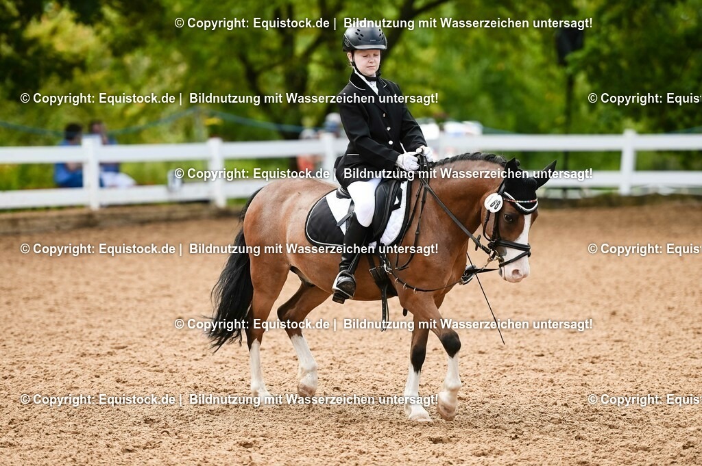 20230716_10-2_Reiter-WB Schritt - Trab - Galopp_0132 | equistock