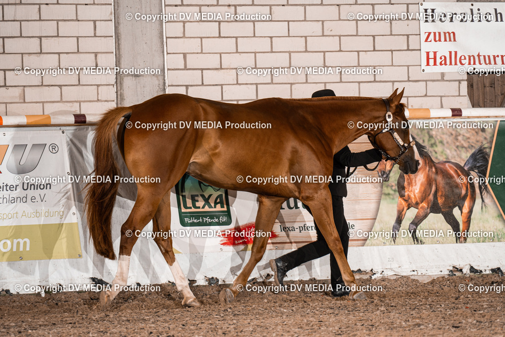 ZH200032 | dv-media-shop - Realisiert mit Pictrs.com