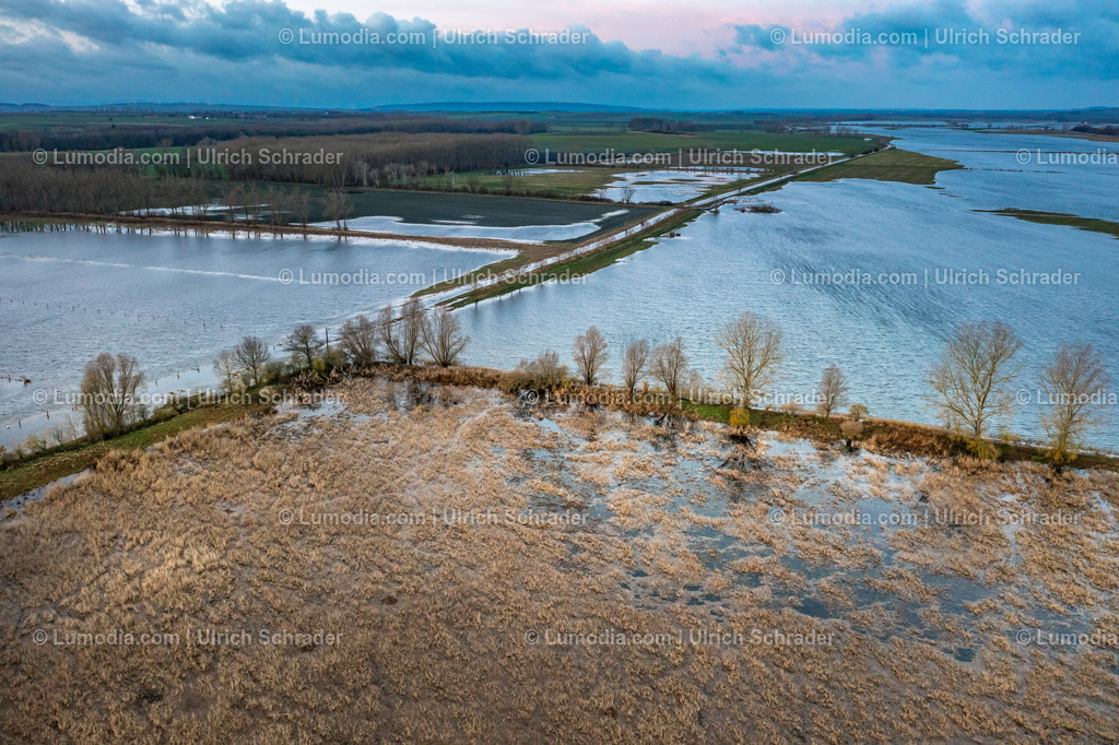 10049-51875 - Hochwasser im Großen Bruch | Stockfoto und Bilderpool mit Bildmaterial aus Deutschland, dem Harz, Halberstadt, Quedlinburg, Wernigerode und weltweit. Qualitativ hochwertige und professionelle Fotos anschauen und kaufen. - Realisiert mit Pictrs.com